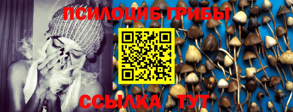 Псилоцибиновые грибы Cubensis  Вход с VPN  Кумертау  Псилоцибиновые грибы GOLDEN TEACHER 