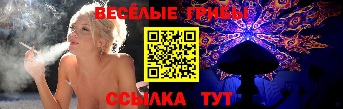 Галлюциногенные грибы прущие грибы Кумертау